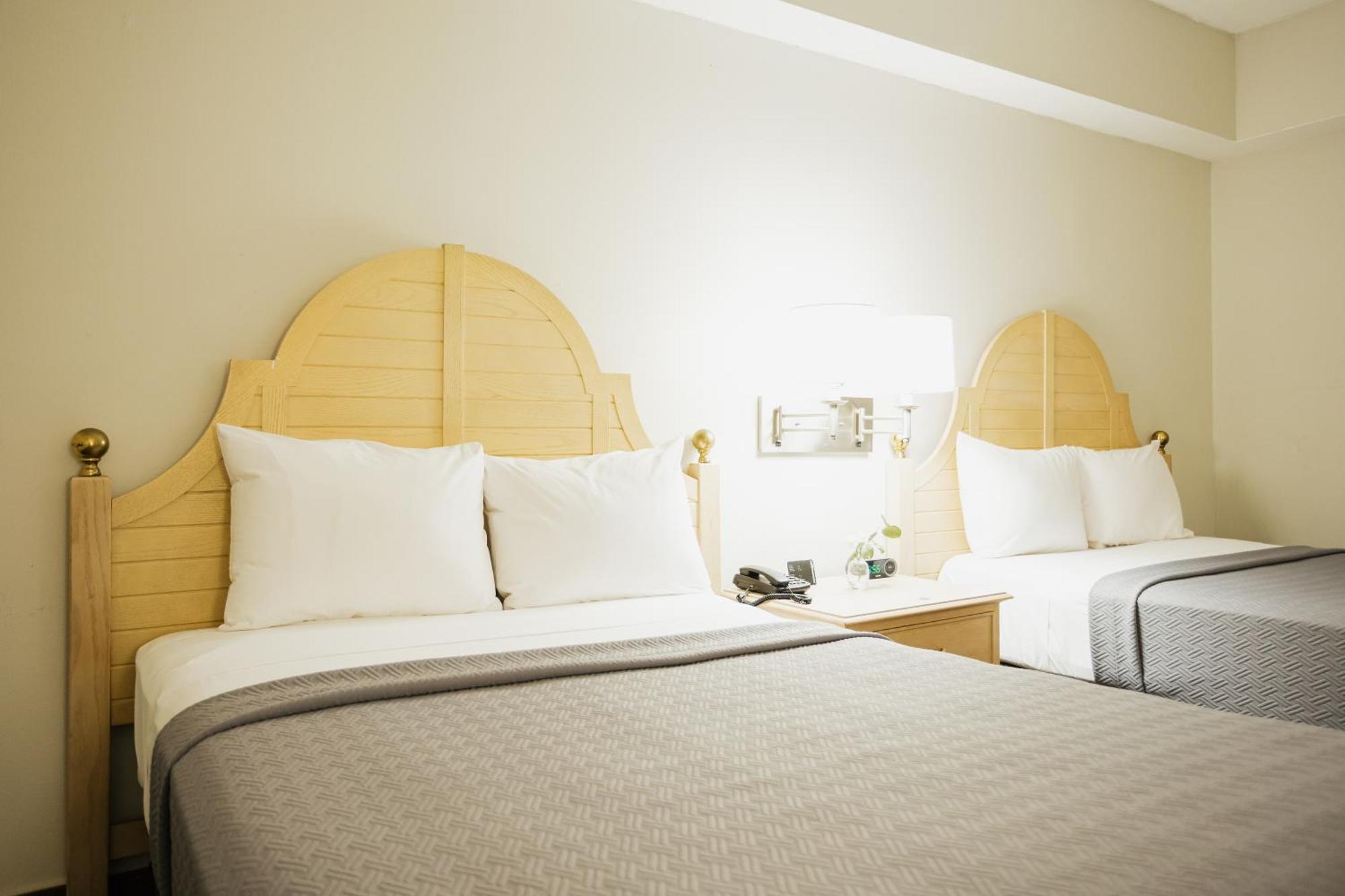 Hotel Parque Central Монтеррей Экстерьер фото
